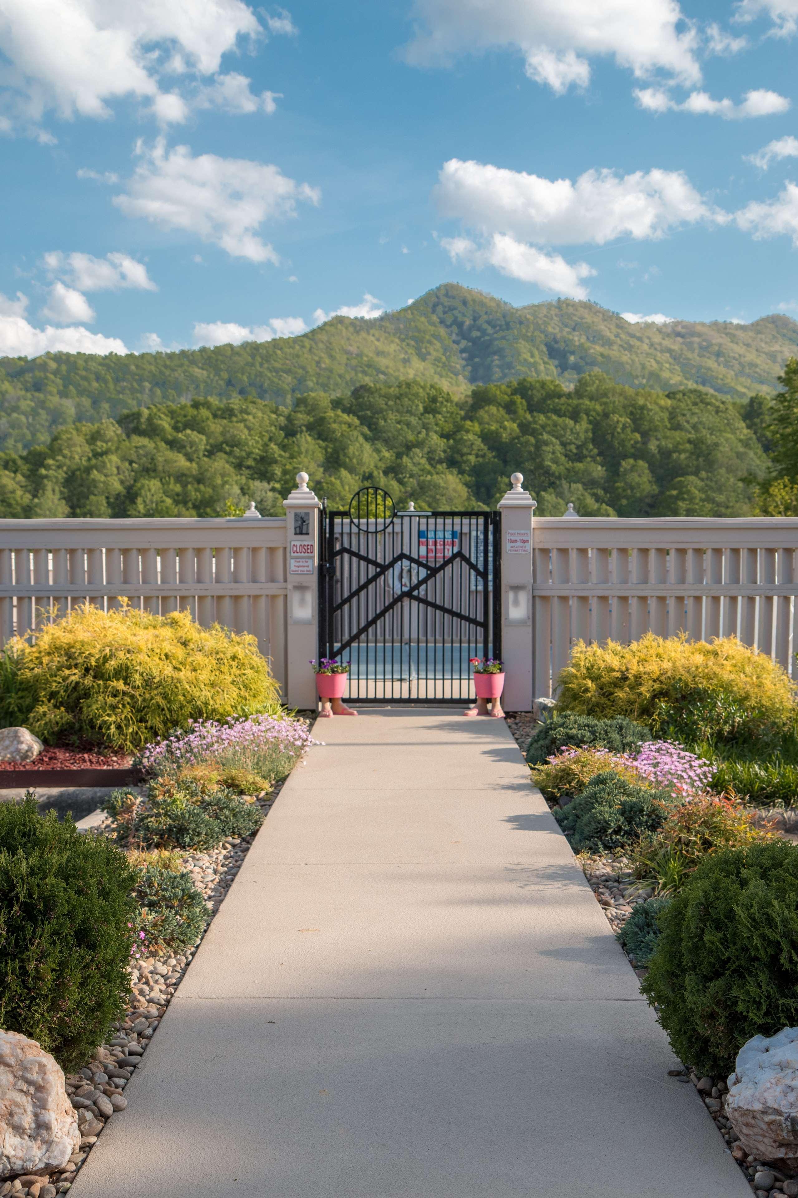 Best Western Smoky Mountain Inn Вейнсвілл Екстер'єр фото